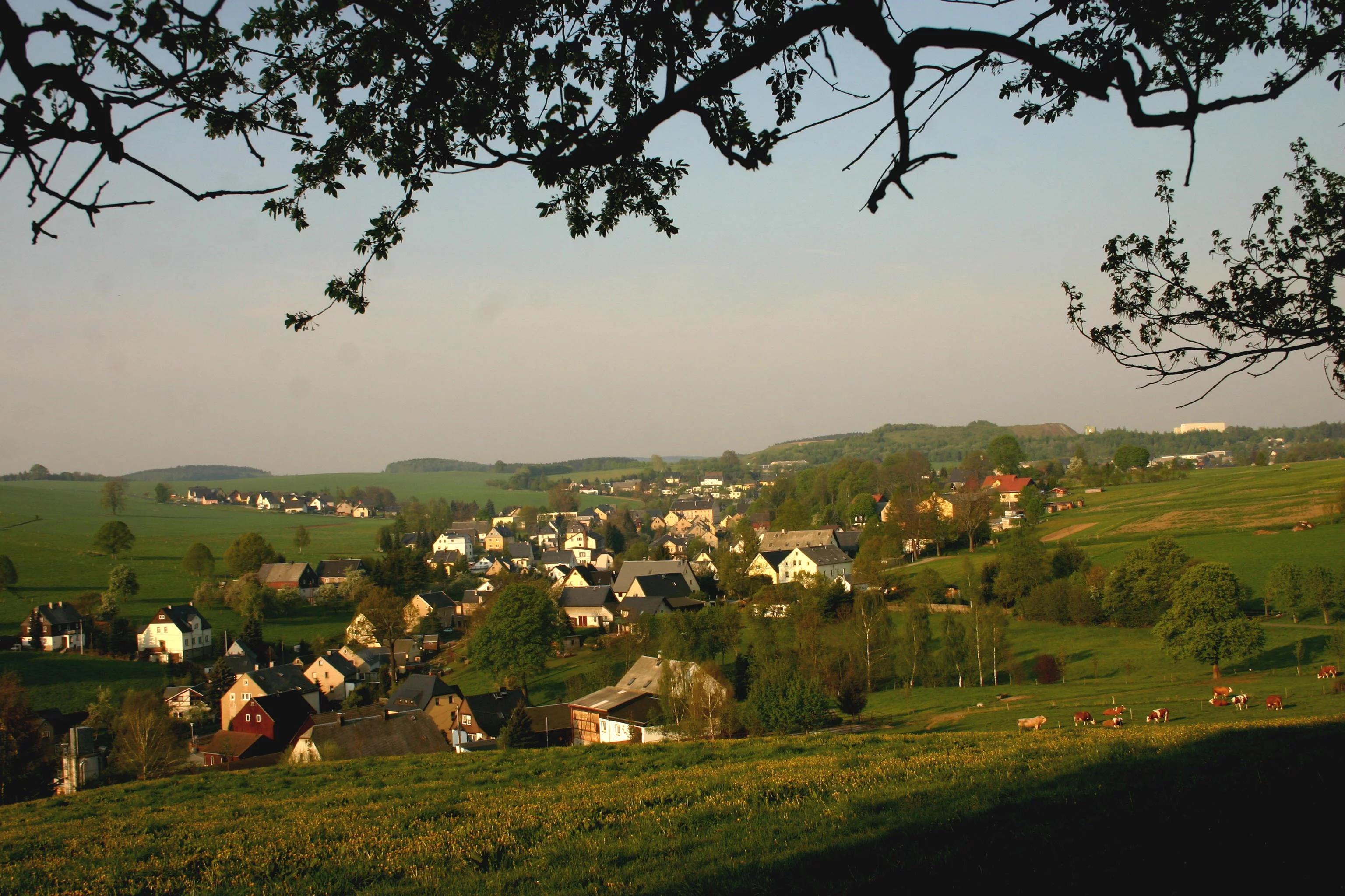 Ort von Venusberg